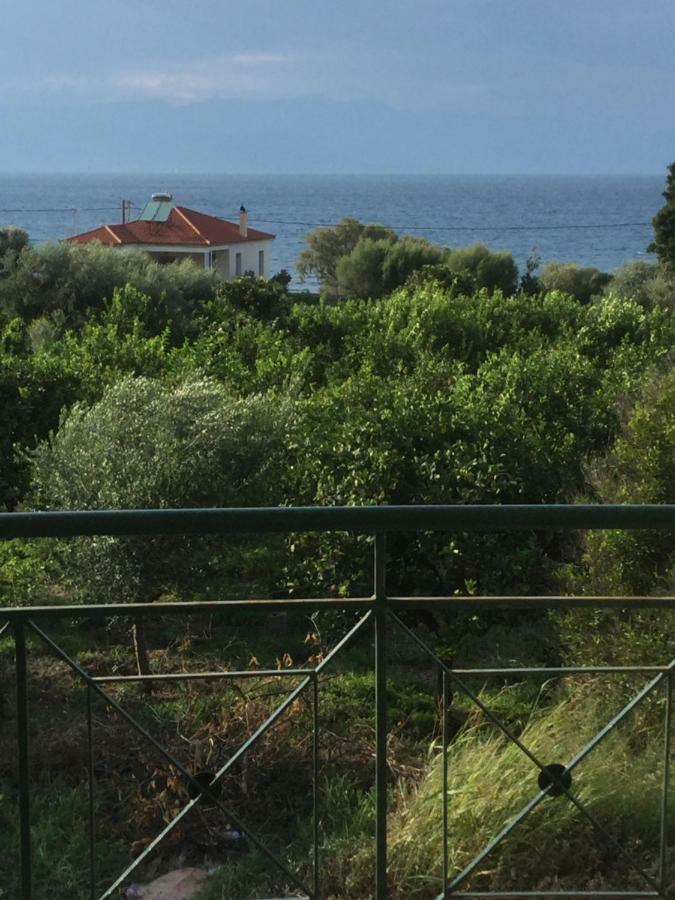 Ligia  Lovely Appartments Lygia Korinthias מראה חיצוני תמונה